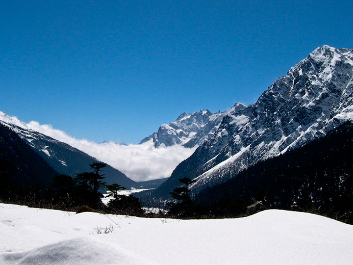 North Sikkim Yumthang Valley Tour