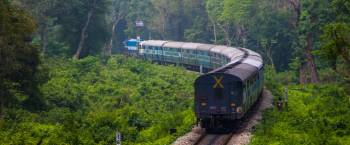 Dooars Gorumara Jaldapara Package Tour