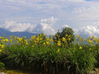 Darjeeling Kalimpong 5 Day Tour